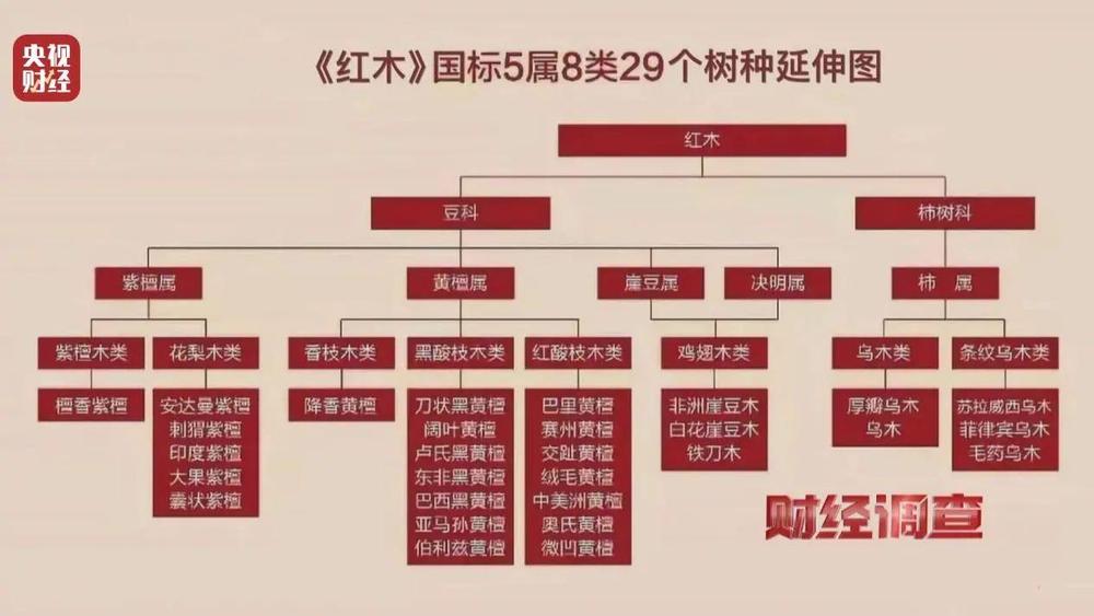 财经调查丨产地假的！证书按斤卖！曝光红木市场批量造假→